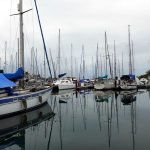 Shelter Bay Marina