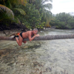 Tomek na palmie