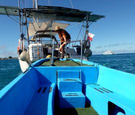 Water taxi