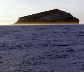 Isla Tortuga