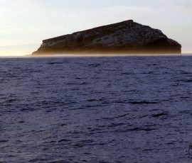 Isla Tortuga
