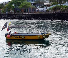 Water taxi