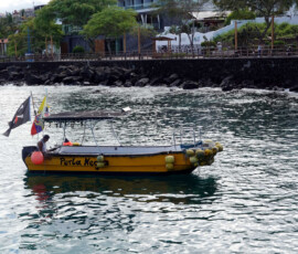 Water taxi