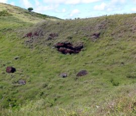 Puna Pau