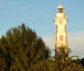 Pointe Venus