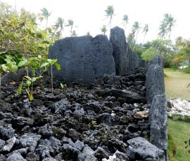 Marae Anini