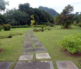 Ogrod botaniczny Faaroa