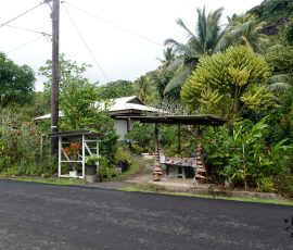 Tahaa stragan