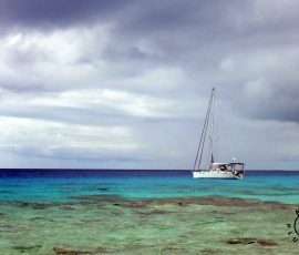 Apataki