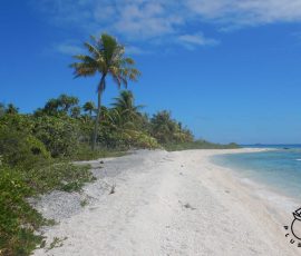 Apataki