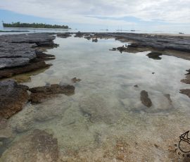 Apataki
