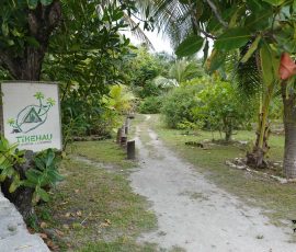 Tikehau