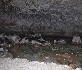 Makatea