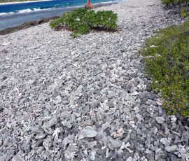Rangiroa plaża