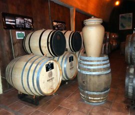 Cave a vin Rangiroa