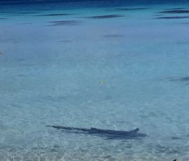 Fakarava