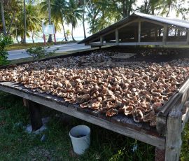 Fakarava