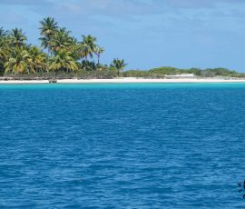 Tikehau